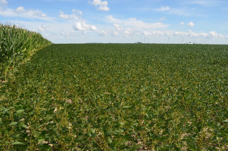 233 +/- Acres Offered in 3 Tracts, Ohio Land Auction